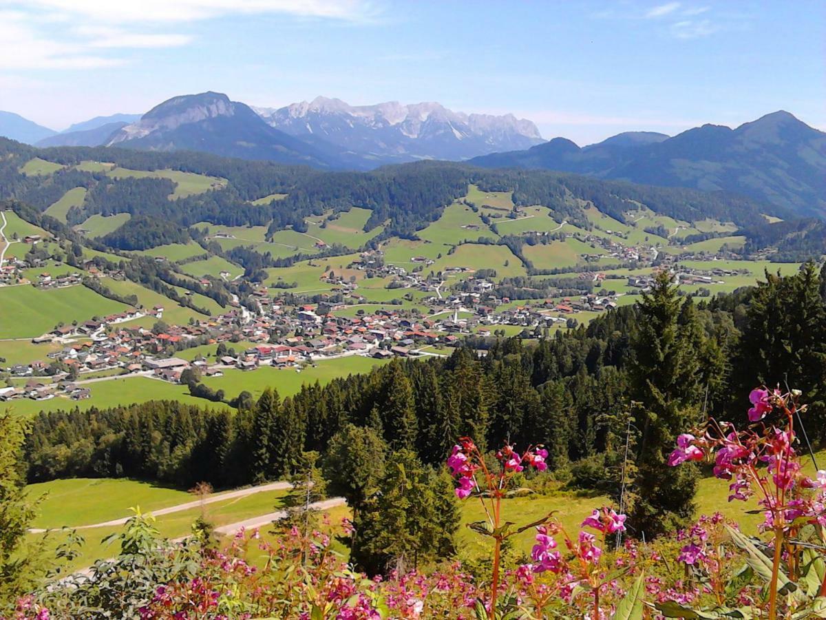 Ferienwohnung Sonnenalp Bergruhe Niederau Exterior foto