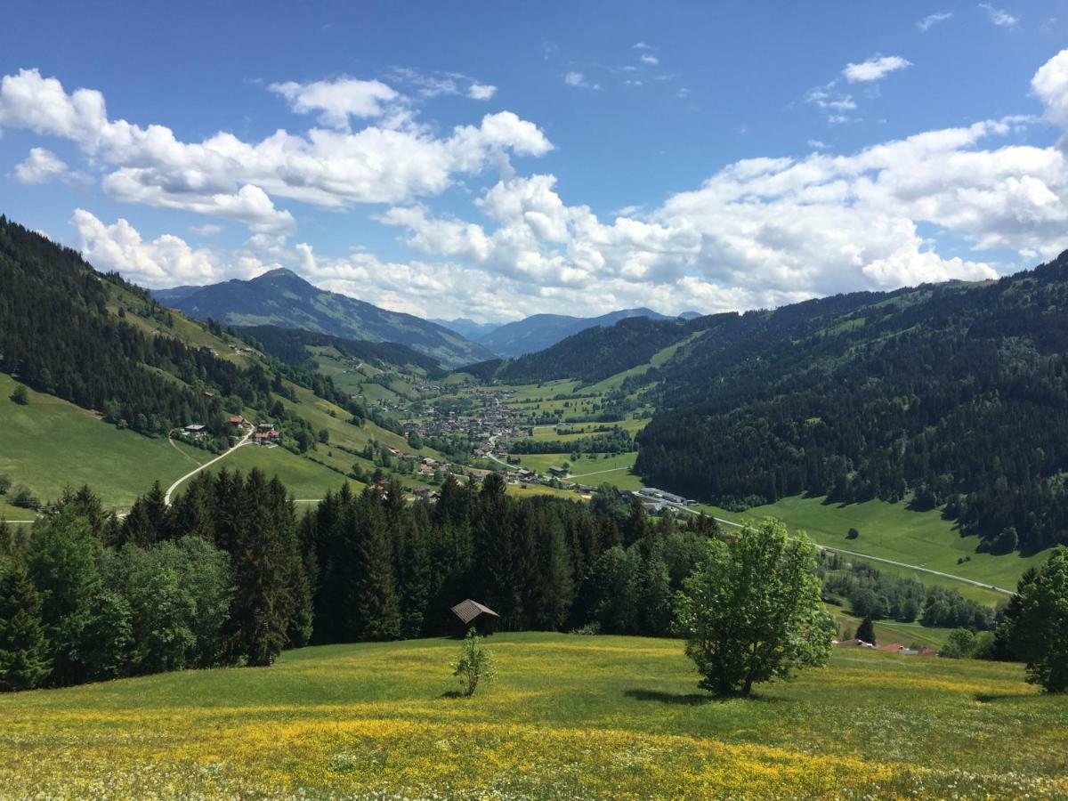 Ferienwohnung Sonnenalp Bergruhe Niederau Exterior foto